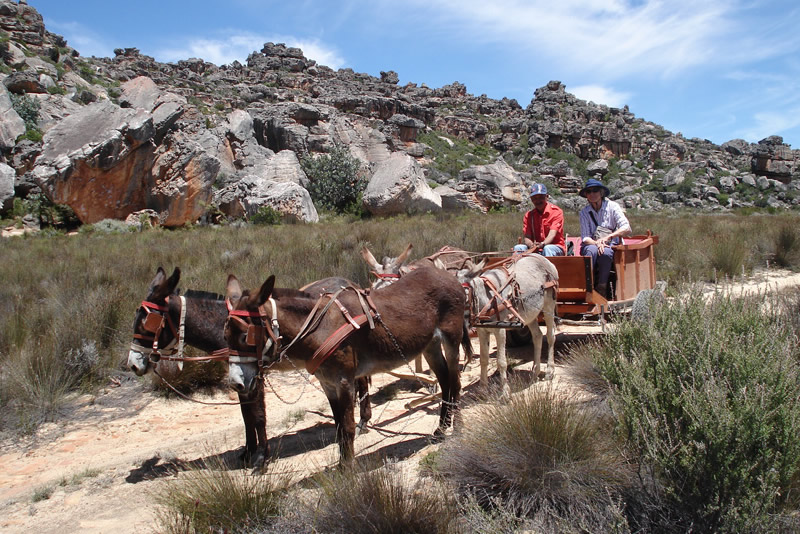 Heuningvlei Hike
