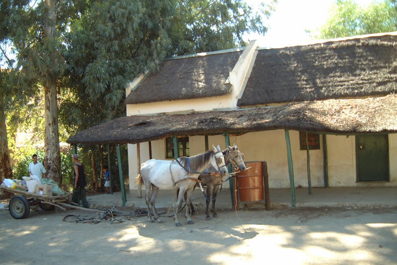 Wupperthal Town Tour